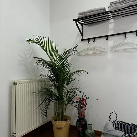 3-person Cozy Place In The Center Of Apartment Ghent