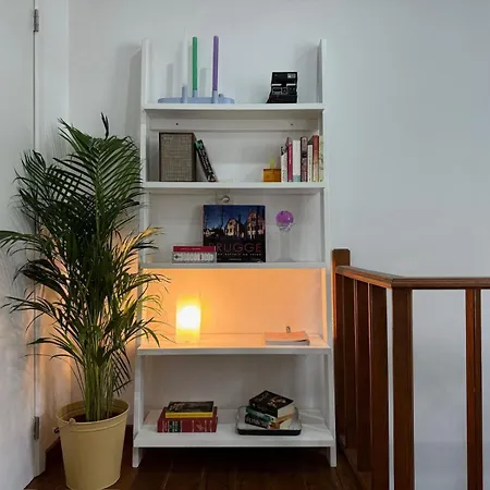 Apartment 3-person Cozy Place In The Center Of