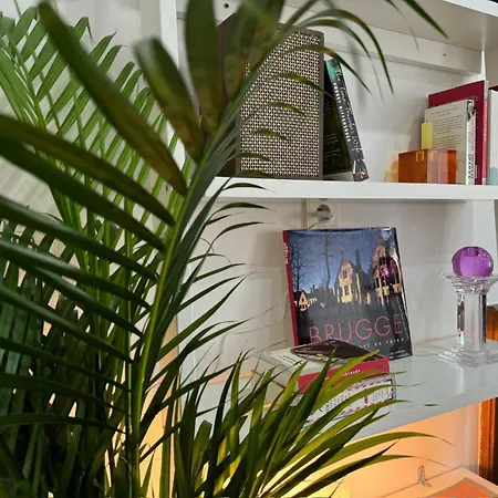 Apartment 3-person Cozy Place In The Center Of